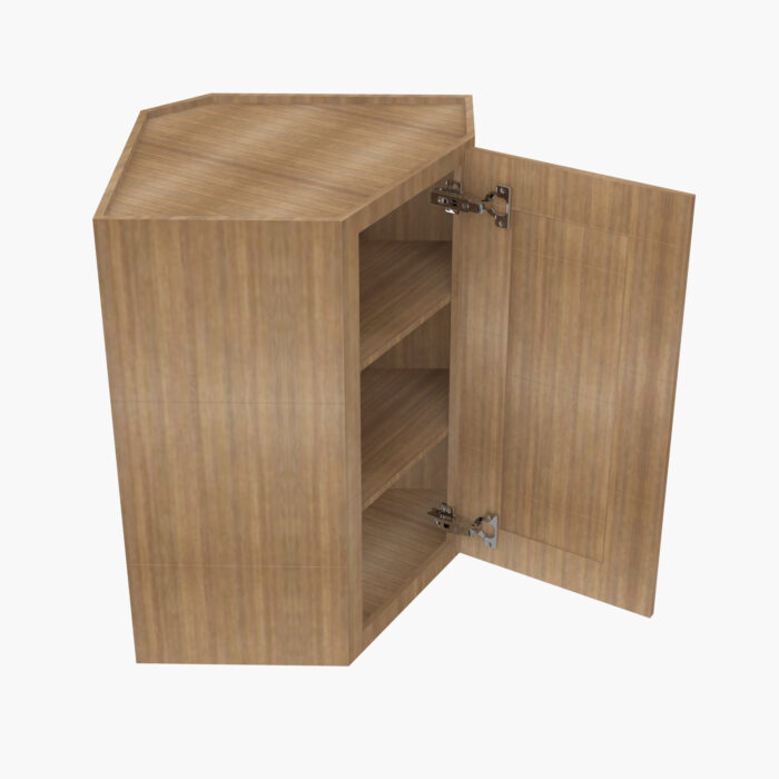 AR Wall Diagonal Corner Cabinet 1 1